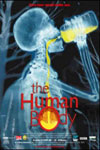 Human Body, The